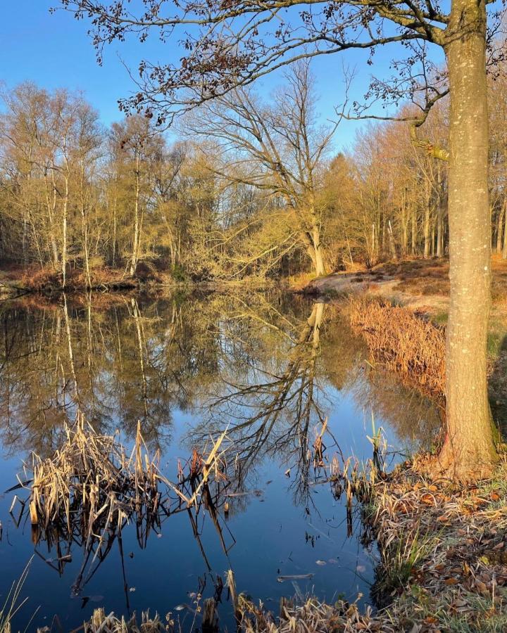La Petite Halte Panzió Comines-Warneton Kültér fotó