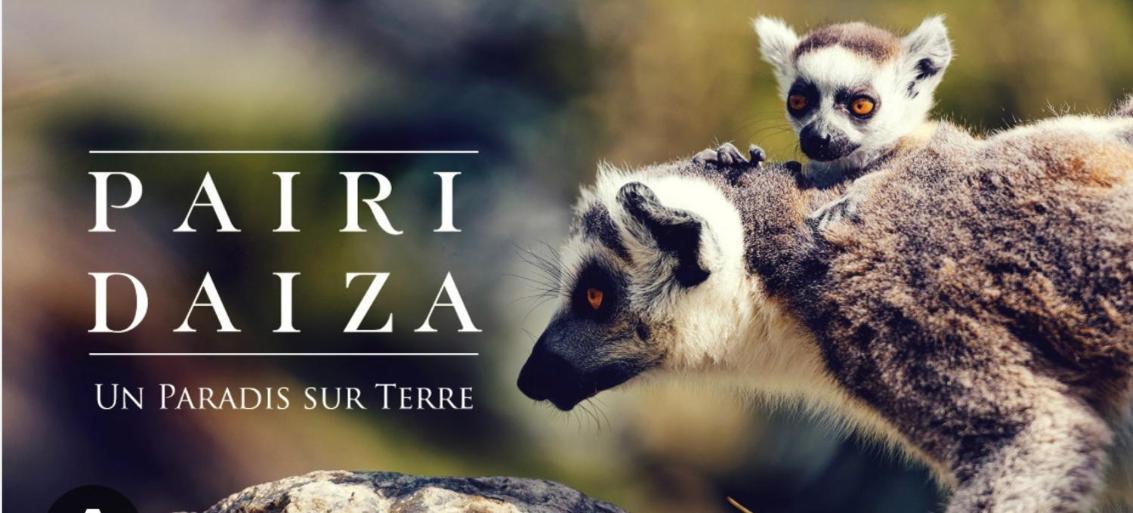 La Petite Halte Panzió Comines-Warneton Kültér fotó